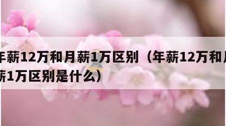 年薪12万和月薪1万区别（年薪12万和月薪1万区别是什么）