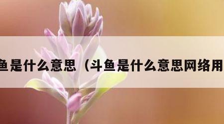 斗鱼是什么意思（斗鱼是什么意思网络用语）