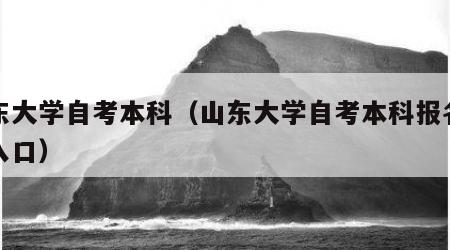 山东大学自考本科（山东大学自考本科报名官网入口）