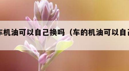 汽车机油可以自己换吗（车的机油可以自己换吗）