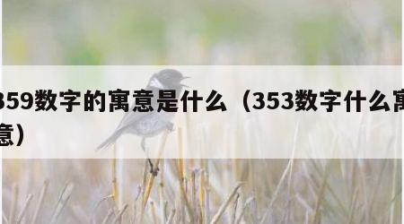 359数字的寓意是什么（353数字什么寓意）