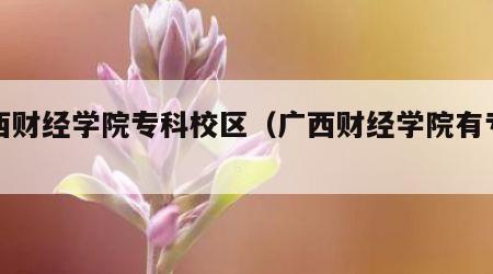 广西财经学院专科校区（广西财经学院有专科吗）