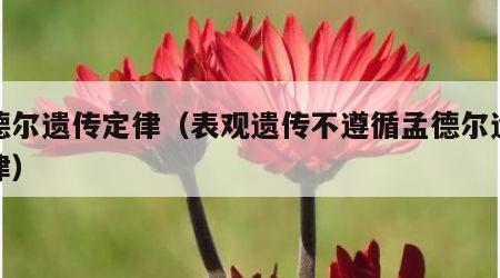 孟德尔遗传定律（表观遗传不遵循孟德尔遗传定律）