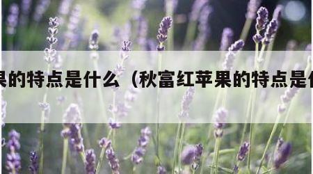 苹果的特点是什么（秋富红苹果的特点是什么）