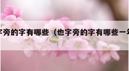 也字旁的字有哪些（也字旁的字有哪些一年级）