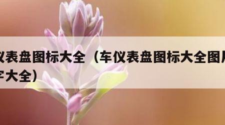 车仪表盘图标大全（车仪表盘图标大全图片及名字大全）