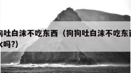 狗狗吐白沫不吃东西（狗狗吐白沫不吃东西能喝水吗?）