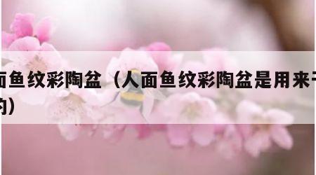 人面鱼纹彩陶盆（人面鱼纹彩陶盆是用来干什么的）