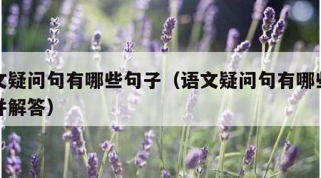 语文疑问句有哪些句子（语文疑问句有哪些句子并解答）