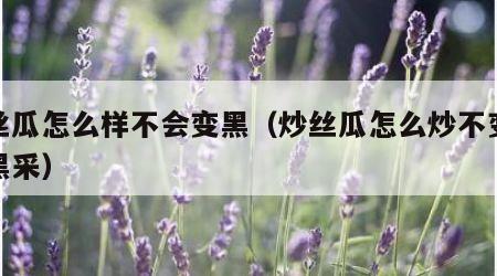 炒丝瓜怎么样不会变黑（炒丝瓜怎么炒不变不发黑采）