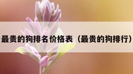 最贵的狗排名价格表（最贵的狗排行）