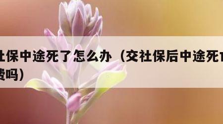 交社保中途死了怎么办（交社保后中途死亡能退费吗）