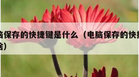 电脑保存的快捷键是什么（电脑保存的快捷键是啥）