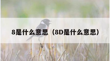 8是什么意思（8D是什么意思）