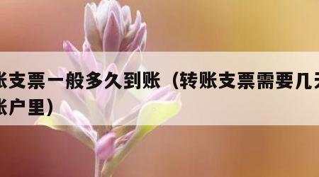 转账支票一般多久到账（转账支票需要几天能到账户里）