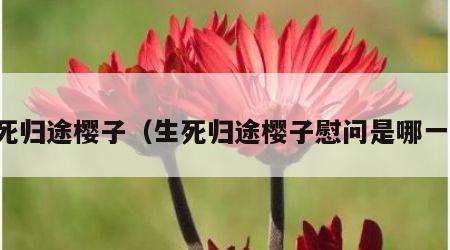 生死归途樱子（生死归途樱子慰问是哪一集）