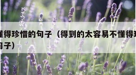 不懂得珍惜的句子（得到的太容易不懂得珍惜的句子）