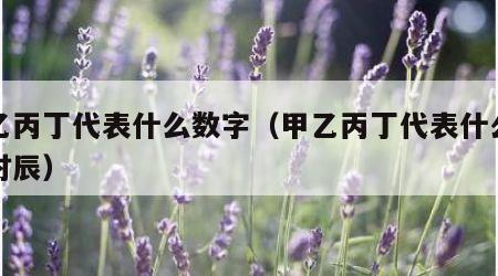 甲乙丙丁代表什么数字（甲乙丙丁代表什么数字时辰）