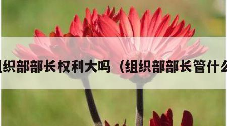 组织部部长权利大吗（组织部部长管什么）