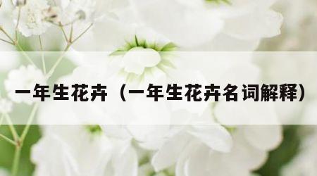 一年生花卉（一年生花卉名词解释）