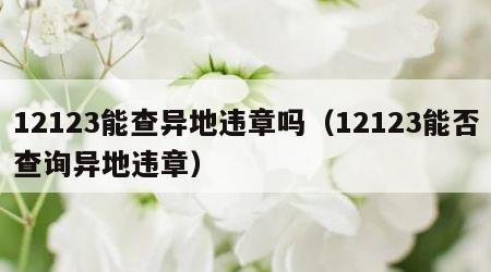 12123能查异地违章吗（12123能否查询异地违章）