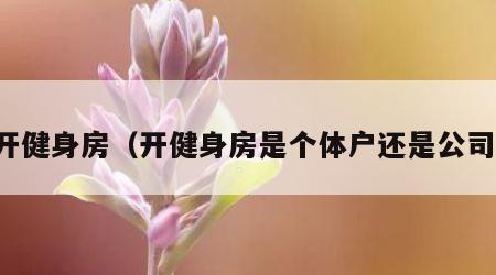 开健身房（开健身房是个体户还是公司）