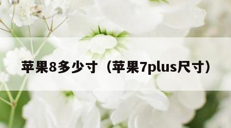 苹果8多少寸（苹果7plus尺寸）