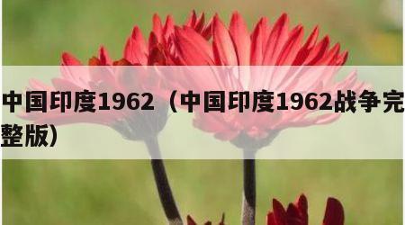 中国印度1962（中国印度1962战争完整版）