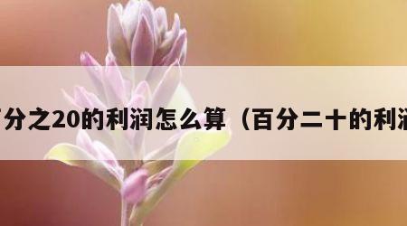 百分之20的利润怎么算（百分二十的利润）