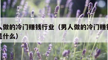 男人做的冷门赚钱行业（男人做的冷门赚钱行业是什么）