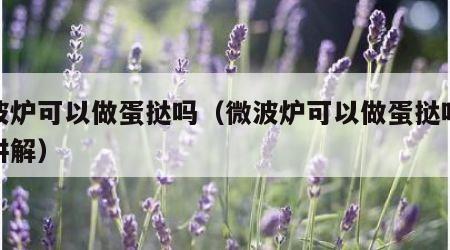 微波炉可以做蛋挞吗（微波炉可以做蛋挞吗视频讲解）