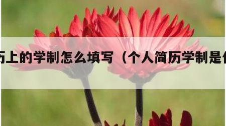 简历上的学制怎么填写（个人简历学制是什么）