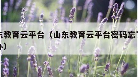 山东教育云平台（山东教育云平台密码忘了怎么办）