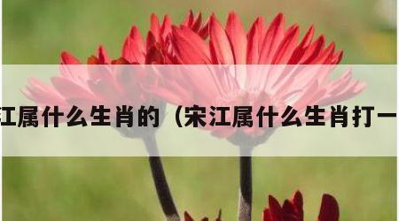 宋江属什么生肖的（宋江属什么生肖打一肖）