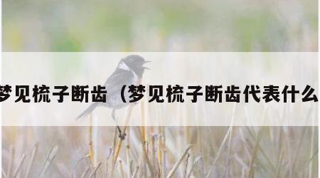 梦见梳子断齿（梦见梳子断齿代表什么）