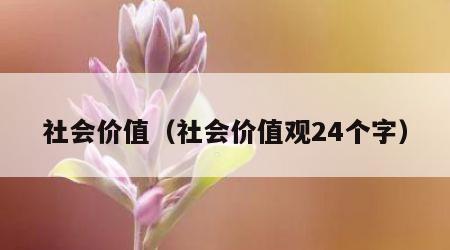 社会价值（社会价值观24个字）