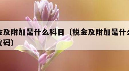 税金及附加是什么科目（税金及附加是什么科目代码）