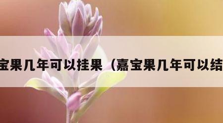 嘉宝果几年可以挂果（嘉宝果几年可以结果）