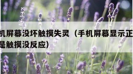 手机屏幕没坏触摸失灵（手机屏幕显示正常,但是触摸没反应）