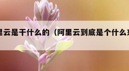 阿里云是干什么的（阿里云到底是个什么东西）