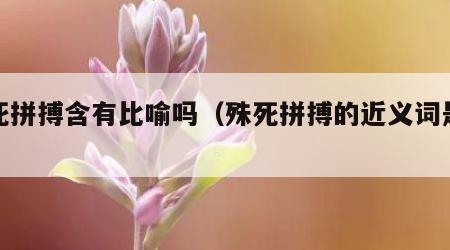 殊死拼搏含有比喻吗（殊死拼搏的近义词是什么）