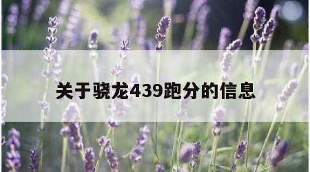 关于骁龙439跑分的信息