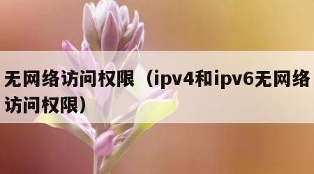 无网络访问权限（ipv4和ipv6无网络访问权限）