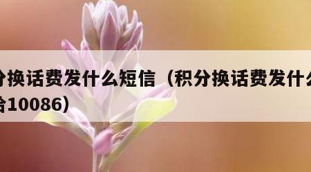 积分换话费发什么短信（积分换话费发什么短信给10086）