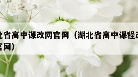 湖北省高中课改网官网（湖北省高中课程改革网官网）