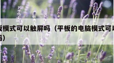 平板模式可以触屏吗（平板的电脑模式可以触屏吗）