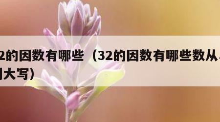 32的因数有哪些（32的因数有哪些数从小到大写）