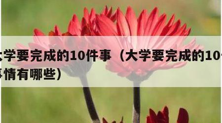 大学要完成的10件事（大学要完成的10件事情有哪些）