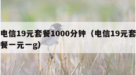 电信19元套餐1000分钟（电信19元套餐一元一g）