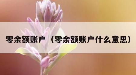 零余额账户（零余额账户什么意思）